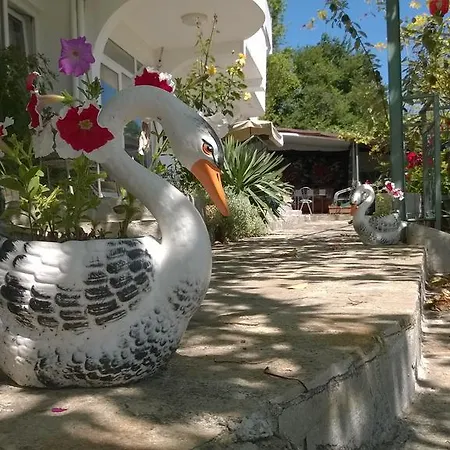 Spiro Guest house Balchik